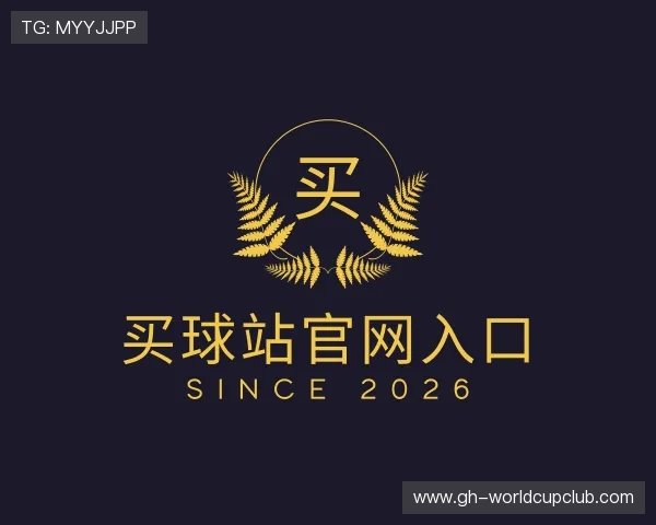 了解买球站官网入口